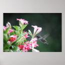 Suche nach trompete blume poster Blumen