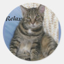 Suche nach tabby cat aufkleber Kitty
