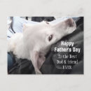 Suche nach bester hund postkarten Für ihn