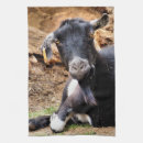 Suche nach ziege geschirr tücher Niedlich