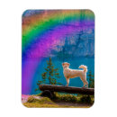 Suche nach hunde beileid magnete Tod