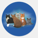 Suche nach schöne katzen aufkleber Kätzchen