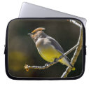 Suche nach wild laptop schutzhüllen Fotografie