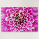 Suche nach chrysantheme puzzle Chrysanthemum