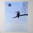 Suche nach kingfish poster Vogel