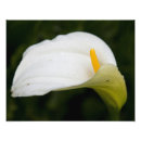 Suche nach farbe fotodruck Fotodrucke