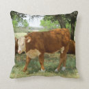 Suche nach kühe kissen Ranch