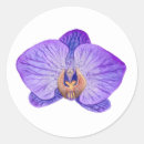 Suche nach lila orchidee aufkleber Tropisch
