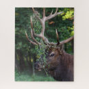 Suche nach jäger puzzle Elch