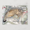 Suche nach kätzchen postkarten Kitty