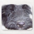 Suche nach schotte mousepads Hund