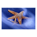 Suche nach blur poster Usa