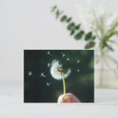 Suche nach dandelions postkarten Flora