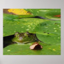 Suche nach lily pad poster Frosch