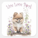 Suche nach pomeranian aufkleber Welpe