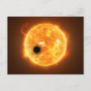 Suche nach wasp poster Wissenschaft