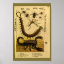 Suche nach insectes poster Vintage