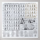Suche nach heraldry poster Rüstung