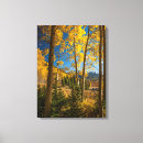 Suche nach jaynes galerie leinwandbilder Superstock