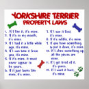 Suche nach yorkshire terrier poster Hundegeschenke