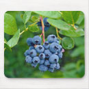 Suche nach reif mousepads Pflanze