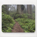 Suche nach mammutbaum mousepads Moos