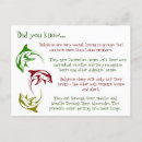 Suche nach delphin postkarten Für kinder