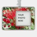 Suche nach rote blume ornamente Foto