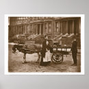 Suche nach reifen poster Fotografie