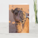 Suche nach naht postkarten Lustig