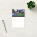 Suche nach am see poster post it Landschaft