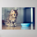 Suche nach blaues mit augen poster Niedliches baby