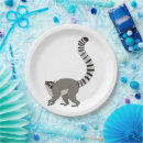 Suche nach tail Madagaskar