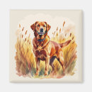 Suche nach labrador retriever hund magnete Hunde