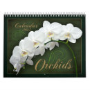 Suche nach orchidee kalender Pflanzen
