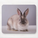 Suche nach neugier mousepads Niedlich
