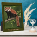 Suche nach roter panda geschenke China
