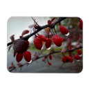 Suche nach regen sie an magnete Rot