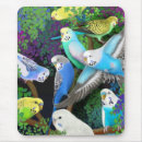 Suche nach parakeet mousepads Budgies