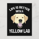 Suche nach gelbes labrador retriever postkarten Cartoon
