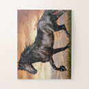 Suche nach schwarzes pferd puzzle Tier