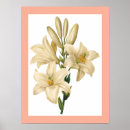 Suche nach vintage natur illustration poster Floral