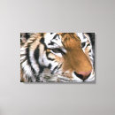 Suche nach sibirien poster Tierwelt