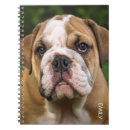 Suche nach englische bulldogge kleine notizbücher Hund