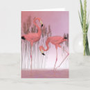 Suche nach flamingo karten Wasservögel