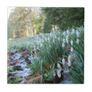 Suche nach schnee fliesen Bauernhof