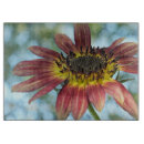 Suche nach sunflower untersetzer Fotografie