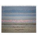 Suche nach safari kalender Wild lebende tiere