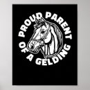 Suche nach gelding poster Reiten