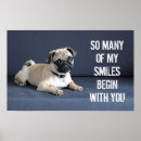 Suche nach tieraugen poster Haustier